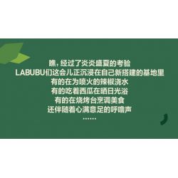 POP MART P10008 10008 CĂN CỨ BÍ MẬT TRONG RỪNG QUÁI VẬT TRUY TÌM KHO BÁU TRÊN BIỂN bộ đồ chơi xếp lắp ráp ghép mô hình SEASIDE PRIZES 451 khối