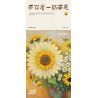 WEILE CREATION 2177 HOA KHÔNG NGỦ IV TRÁI TIM ĐANG NỞ RỘ. bộ đồ chơi xếp lắp ráp ghép mô hình Arts & Crafts ETERNAL FLOWER 781 khối