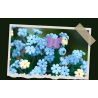 JIESTAR JJ9131 9131 CHẬU CÂY BÔNG TUYẾT XANH bộ đồ chơi xếp lắp ráp ghép mô hình Creator CERATOSTIGMA PLUMBAGINOIDES Sáng Tạo 365 khối