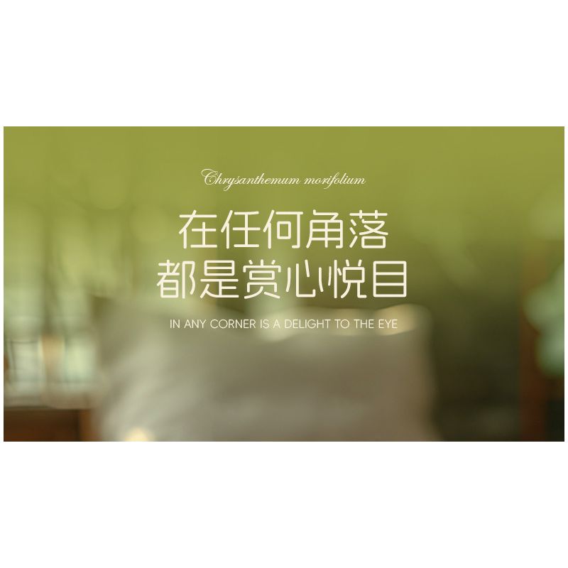 JIESTAR JJ9109 9109 CHẬU HOA CÚC NGÀN bộ đồ chơi xếp lắp ráp ghép mô hình Creator CHRYSANTHEMUM MOLIFOLIUM Sáng Tạo 353 khối