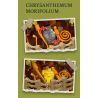 JIESTAR JJ9109 9109 CHẬU HOA CÚC NGÀN bộ đồ chơi xếp lắp ráp ghép mô hình Creator CHRYSANTHEMUM MOLIFOLIUM Sáng Tạo 353 khối
