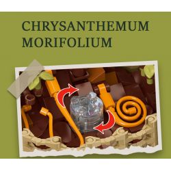 JIESTAR JJ9109 9109 CHẬU HOA CÚC NGÀN bộ đồ chơi xếp lắp ráp ghép mô hình Creator CHRYSANTHEMUM MOLIFOLIUM Sáng Tạo 353 khối