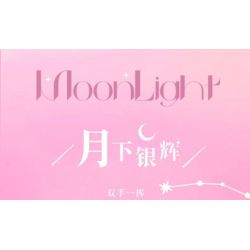 GEKKOSHA 804301 LỜI BÍ MẬT XỨ SỞ THẦN TIÊN ÁNH BẠC DƯỚI TRĂNG bộ đồ chơi xếp lắp ráp ghép mô hình MAGIC WORDS OF WONDERLAND