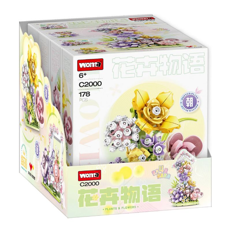 WOMA C2000 2000 CHUYỆN HOA TRANH 4 KIỂU SÂN CÀNH bộ đồ chơi xếp lắp ráp ghép mô hình Arts & Crafts 656 khối