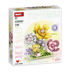 WOMA C2000 2000 CHUYỆN HOA TRANH 4 KIỂU SÂN CÀNH bộ đồ chơi xếp lắp ráp ghép mô hình Arts & Crafts 656 khối