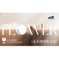 PLEYERID M38-P8061 P8061 8061 M38P8061 38-P8061 HOA HỒNG VẪN THƠM NHƯ NGÀY NÀO bộ đồ chơi xếp lắp ráp ghép mô hình Arts & Crafts