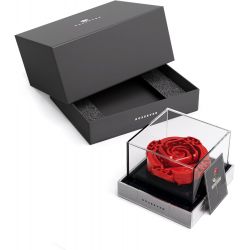 NIFELIZ NF10256 10256 HOA HỒNG bộ đồ chơi xếp lắp ráp ghép mô hình Arts & Crafts ROSEEVER