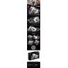 TYGOLL T4055 4055 XE MÁY R18 tỷ lệ 1:5 bộ đồ chơi xếp lắp ráp ghép mô hình Technic Kỹ Thuật Công Nghệ Cao Mô Hình Phương Tiện 1672 khối