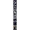 MouldKing 10201 Mould King 10201 BUG ĐỘNG CƠ VÀ HỘP SỐ SIÊU XE W16 bộ đồ chơi xếp lắp ráp ghép mô hình Technic BUG SUPERCAR W16 ENGINE + TRANSMISSION Kỹ Thuật Công Nghệ Cao Mô Hình Phương Tiện 2024 khối