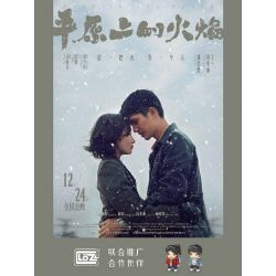 LOZ 1400-27 NGỌN LỬA TRÊN ĐỒNG BẰNG bộ đồ chơi xếp lắp ráp ghép mô hình Movie & Game Phim Và Trò Chơi