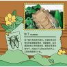 IBLOCK IB2202-1 2202-1 THẾ GIỚI CÔN TRÙNG NÀNG TIÊN MỘT SỪNG bộ đồ chơi xếp lắp ráp ghép mô hình BEETLE