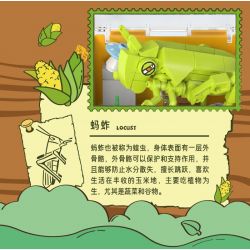 IBLOCK IB2202-1 2202-1 THẾ GIỚI CÔN TRÙNG NÀNG TIÊN MỘT SỪNG bộ đồ chơi xếp lắp ráp ghép mô hình BEETLE