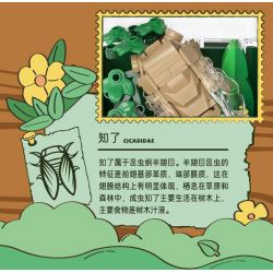 IBLOCK IB2202-2 2202-2 THẾ GIỚI CÔN TRÙNG CHÂU CHẤU bộ đồ chơi xếp lắp ráp ghép mô hình LOCUST