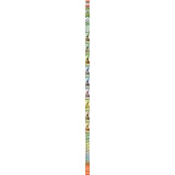 IBLOCK IB2202-3 2202-3 KẺ LANG THANG TRONG THẾ GIỚI CÔN TRÙNG BỌ RÙA BẢY SAO bộ đồ chơi xếp lắp ráp ghép mô hình LADYBUG