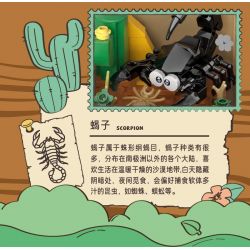 IBLOCK IB2202-3 2202-3 KẺ LANG THANG TRONG THẾ GIỚI CÔN TRÙNG BỌ RÙA BẢY SAO bộ đồ chơi xếp lắp ráp ghép mô hình LADYBUG