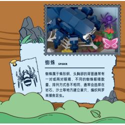 IBLOCK IB2202-5 2202-5 THẾ GIỚI LỖI NHỆN bộ đồ chơi xếp lắp ráp ghép mô hình SPIDER