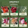 BEAUTY AND 13069 PANDORA bộ đồ chơi xếp lắp ráp ghép mô hình Creator BELISAMA Sáng Tạo 566 khối