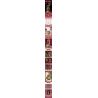 MouldKing 10178 Mould King 10178 CÔN TRÙNG NHỆN bộ đồ chơi xếp lắp ráp ghép mô hình Arts & Crafts INSECT SPIDER 407 khối