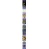 MouldKing 10176 Mould King 10176 CÔN TRÙNG KIẾN bộ đồ chơi xếp lắp ráp ghép mô hình Arts & Crafts INSECT ANT 385 khối