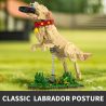 XBERT 66060 LABRADOR RETRIEVER bộ đồ chơi xếp lắp ráp ghép mô hình THE LABRADOR RETRIEVER 1257 khối