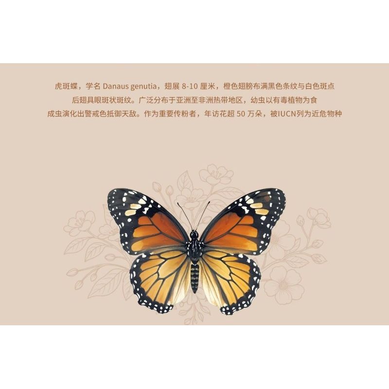 LOZ 4117 CÔN TRÙNG HOA CÕI BƯỚM ĐỐM HỔ bộ đồ chơi xếp lắp ráp ghép mô hình Arts & Crafts INSECT