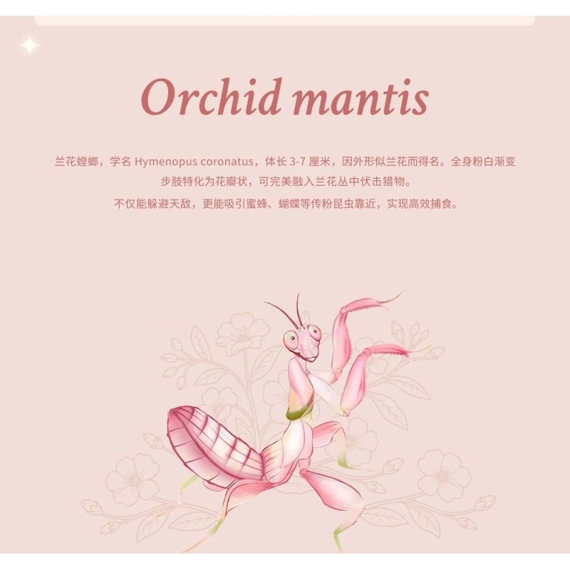 LOZ 4118 CÔN TRÙNG HOA CÕI BỌ NGỰA LAN bộ đồ chơi xếp lắp ráp ghép mô hình Arts & Crafts INSECT