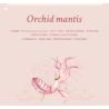 LOZ 4118 CÔN TRÙNG HOA CÕI BỌ NGỰA LAN bộ đồ chơi xếp lắp ráp ghép mô hình Arts & Crafts INSECT
