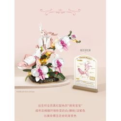 LOZ 4118 CÔN TRÙNG HOA CÕI BỌ NGỰA LAN bộ đồ chơi xếp lắp ráp ghép mô hình Arts & Crafts INSECT