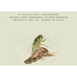 LOZ 4123 CÔN TRÙNG HOA CÕI LÁ NGỌC VE VÀNG bộ đồ chơi xếp lắp ráp ghép mô hình GOLDEN CICADA 376 khối