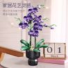 JIESTAR JJ9235 9235 HOA LAN MÀU TÍM bộ đồ chơi xếp lắp ráp ghép mô hình Creator ELEGANT VIOLET Sáng Tạo 666 khối