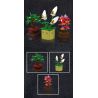 MouldKing 24117 Mould King 24117 CÂY CHẬU NHỎ bộ đồ chơi xếp lắp ráp ghép mô hình Creator TINY PLANTS Sáng Tạo 240 khối