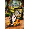 Koiboxxr KQ201 Cat Sunflower Xếp hình lắp ráp ghép mô hình Mèo hoa hướng dương váy đen