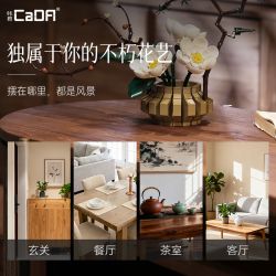 CaDA DoubleE C59026 Xếp hình lắp ráp ghép mô hình Nghệ thuật cắm hoa theo chủ nghĩa Livtist Trung Quốc: Yidong