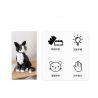 ZHEGAO 662501 Xếp hình lắp ráp ghép mô hình mèo tuxedo