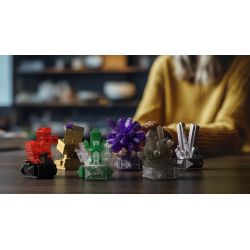 Nifeliz NF10306 Geology Rock Xếp hình lắp ráp ghép mô hình Bộ sưu tập quặng