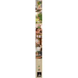 Xbert 66191 Deer In Bloom A Floral Fantasy Xếp hình lắp ráp ghép mô hình Nai sừng tấm