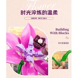WOMA 11304 Flowers Bought Xếp hình lắp ráp ghép mô hình Thời gian lãng mạn 16 bông hoa