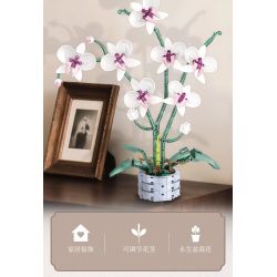 WOMA 11055 Flowers Orchid Xếp hình lắp ráp ghép mô hình Nhịp điệu quốc gia Phalaenopsis