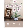 WOMA 11055 Flowers Orchid Xếp hình lắp ráp ghép mô hình Nhịp điệu quốc gia Phalaenopsis