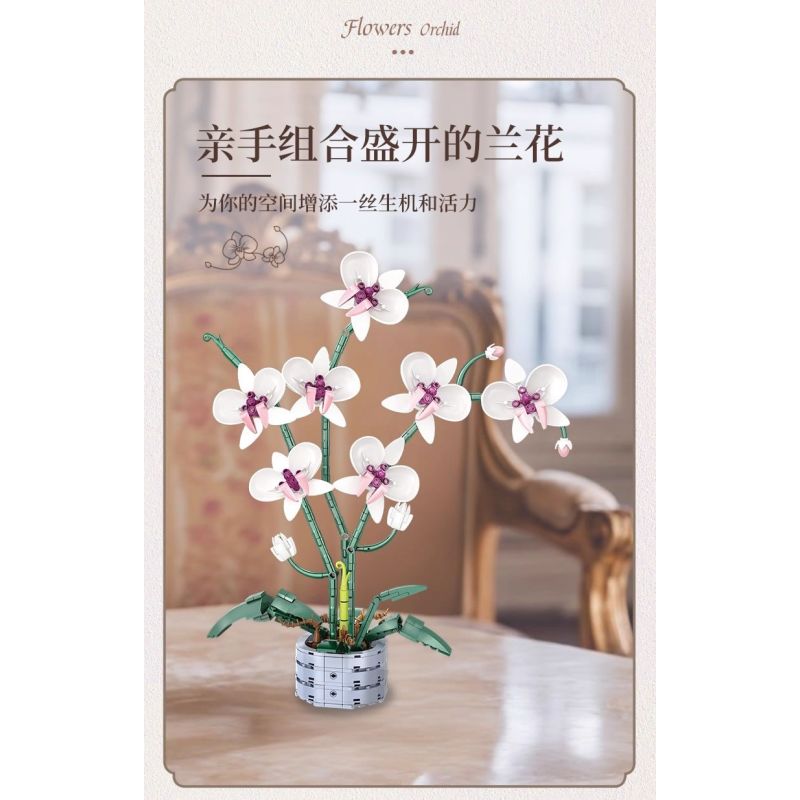 WOMA 11055 Flowers Orchid Xếp hình lắp ráp ghép mô hình Nhịp điệu quốc gia Phalaenopsis