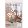 WOMA 11055 Flowers Orchid Xếp hình lắp ráp ghép mô hình Nhịp điệu quốc gia Phalaenopsis