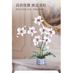 WOMA 11055 Flowers Orchid Xếp hình lắp ráp ghép mô hình Nhịp điệu quốc gia Phalaenopsis