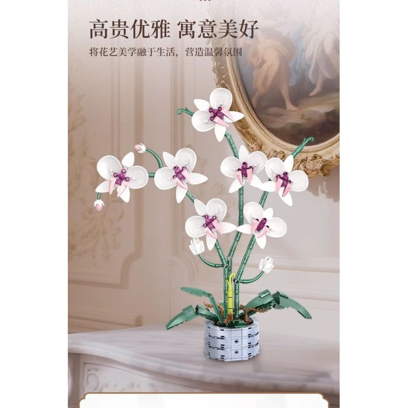 WOMA 11055 Flowers Orchid Xếp hình lắp ráp ghép mô hình Nhịp điệu quốc gia Phalaenopsis