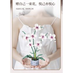WOMA 11055 Flowers Orchid Xếp hình lắp ráp ghép mô hình Nhịp điệu quốc gia Phalaenopsis