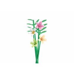 Pleyerid M38-B1101-13 Freesia Xếp hình lắp ráp ghép mô hình PLEYERID-Hoa Tinh Tế Trái Tim-Freesia