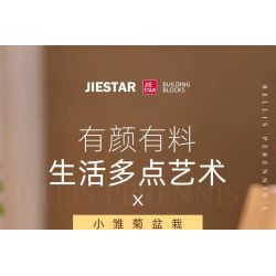 JIESTAR JJ9188 Xếp hình lắp ráp ghép mô hình Chậu hoa cúc nhỏ