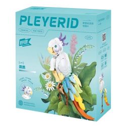 Pleyerid M38-P8095 Parrot Xếp hình lắp ráp ghép mô hình Con vẹt