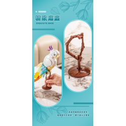 Pleyerid M38-P8095 Parrot Xếp hình lắp ráp ghép mô hình Con vẹt