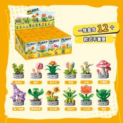 Femibox S5443 Xếp hình lắp ráp ghép mô hình 12 loại hình minh họa thực vật