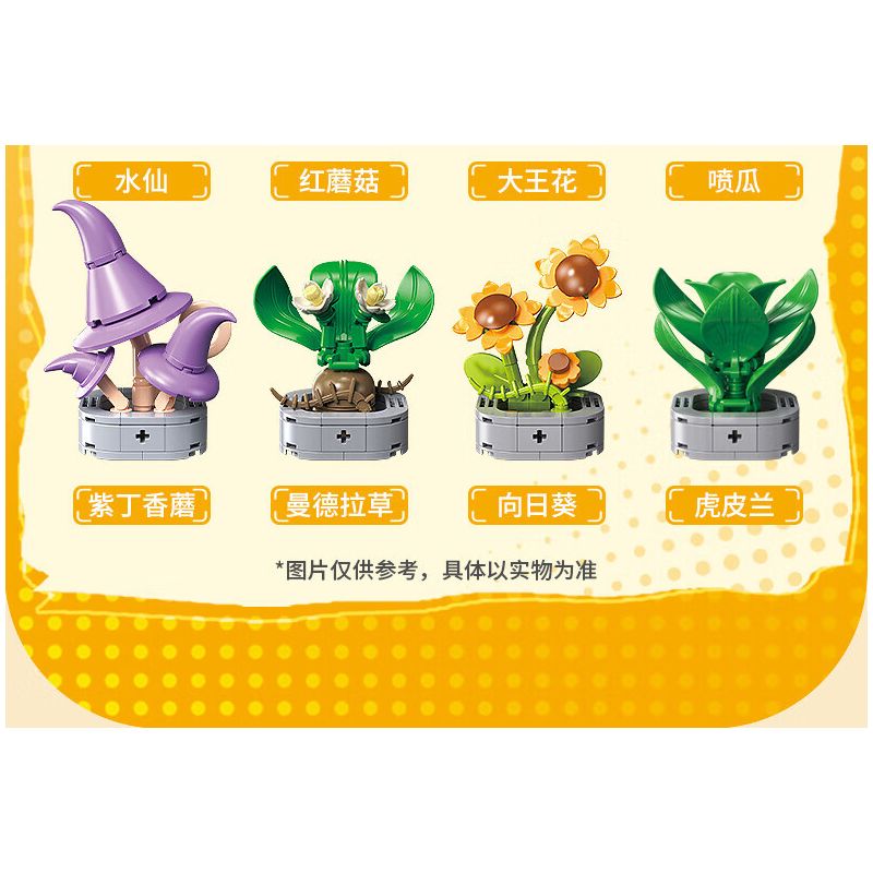 Femibox S5443 Xếp hình lắp ráp ghép mô hình 12 loại hình minh họa thực vật